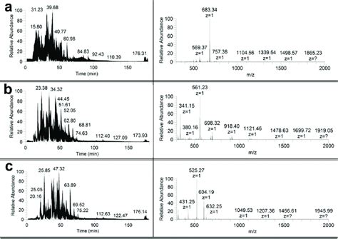 Chromatograms Left And Panoramic Mass Spectra Right Of Hydrolyzates