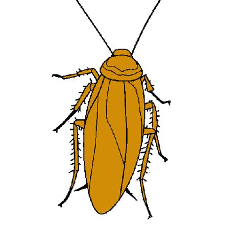 Dibujo de Cucaracha pintado por Urielzaid en Dibujos net el día 16 02