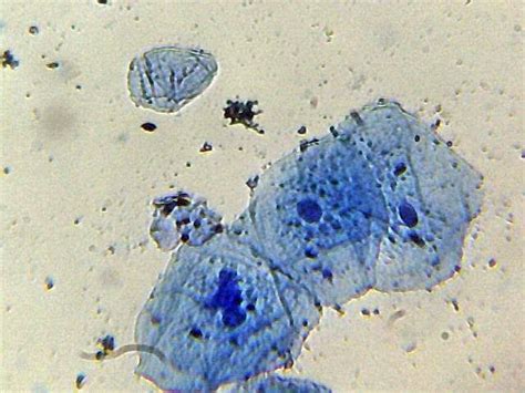 An Image Of Some Blue And White Things In The Water With Small Bubbles On It