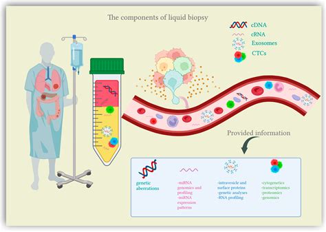 Cells Free Full Text Clinical Applications Of Liquid Biopsy In