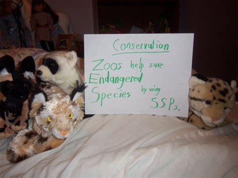 Why are Zoos Important: Conservation by Igloo9201 on DeviantArt