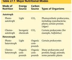 Exam Introductory Microbiology Chapter Homework Flashcards Quizlet