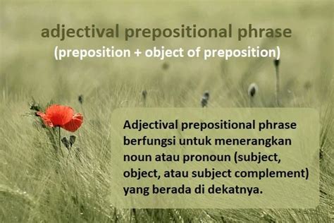 Prepositional Phrase Pengertian Contoh Kalimat Bahasa Inggris