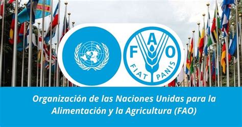 Trabajos En Organizaci N De Las Naciones Unidas Para La Alimentaci N Y