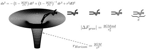 Could a human enter a black hole to study it?