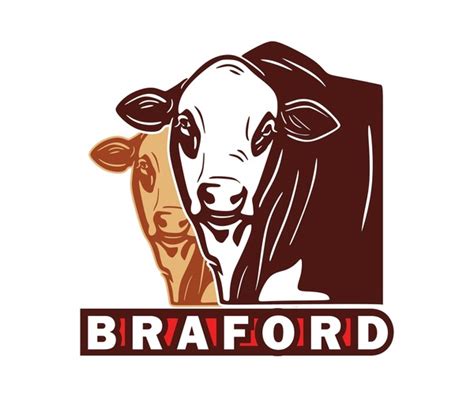 Braford Cattle