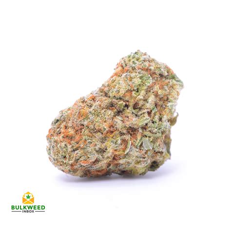 Hindu Skunk Aaa Buy Weed Online Online Dispensary