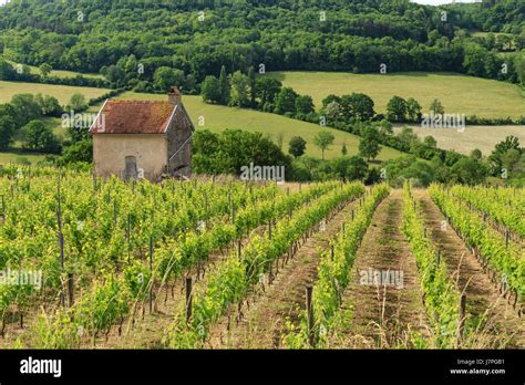 Francia Cote D Or Regi N De Borgo A Flavigny Sur Ozerain