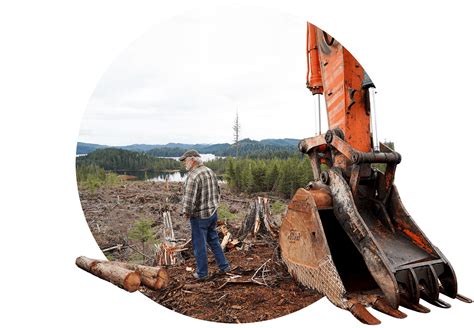 A Logging Loophole Is Clear Cutting The Tongass National Forest Grist Grist