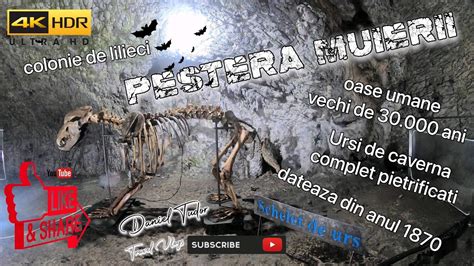 Pestera Muierii K Dateaza Din Baia De Fier Jud Gorj Youtube