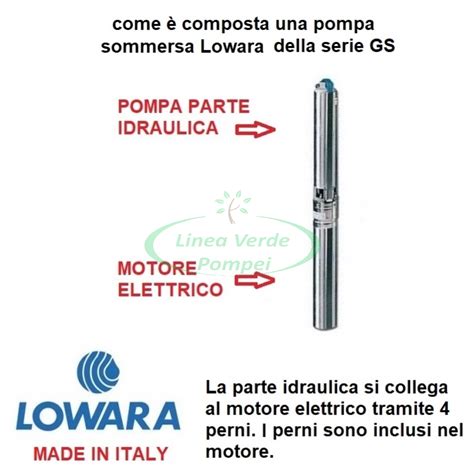 Linea Verde Pompei Prodotto 8895 Pompa Sommersa Lowara Potenza 0