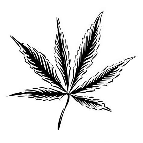 A Black And White Illustration Of A Cannabis Leaf | Free Cannabis ...