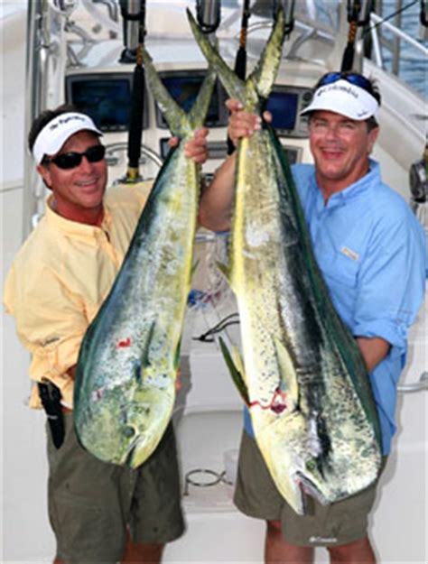 Top Bahamas Fishing Spots and Fishing Locations | Florida Fishing Maps ...