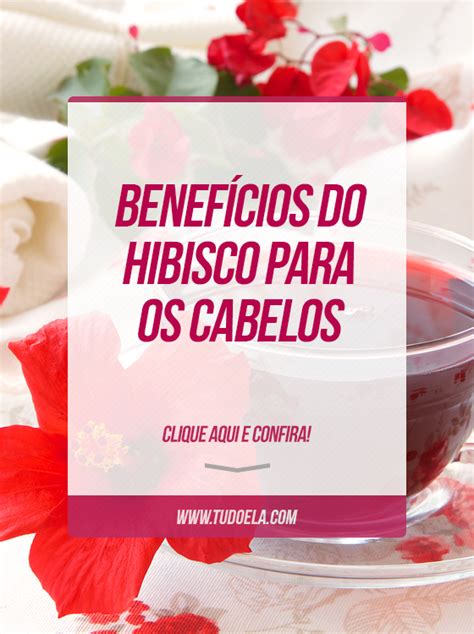 Conheça os benefícios do hibisco para o cabelo e como usar Beneficios