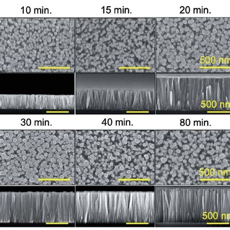 Sem Images Of Top View And Cross Sectional View Of The Zno Nws