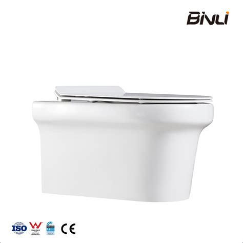 Water Saving Wall Mounted High Quality Ceramic Washdown Rimless