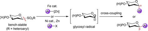 Stereoselective C‐aryl Glycosylation By Catalytic Cross‐coupling Of Heteroaryl Glycosyl Sulfones