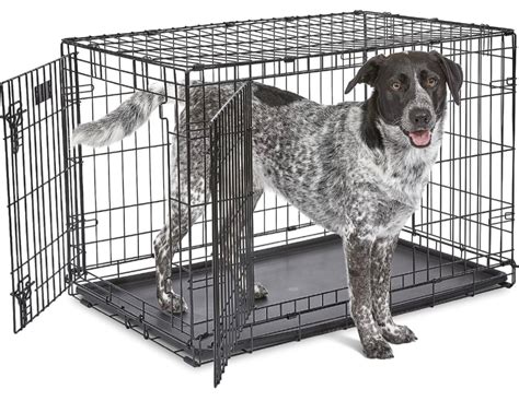 JE - Midwest iCrate Dog Crate 36 inch Double Door, Pet Supplies, Homes ...