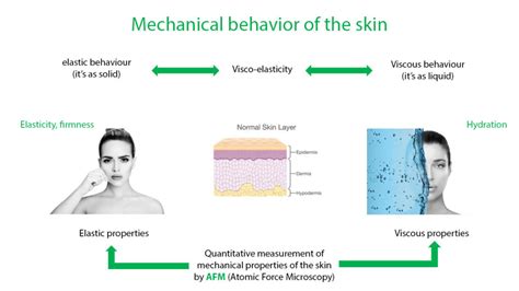 Glomeca Visco Elasticity Biomeca