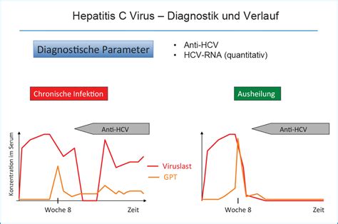 Neue Therapiestandards Der Chronischen Hepatitis C Teil Mt Dialog