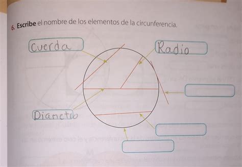 Escribe El Nombre De Los Elementos De La Circunferencia Brainly Lat