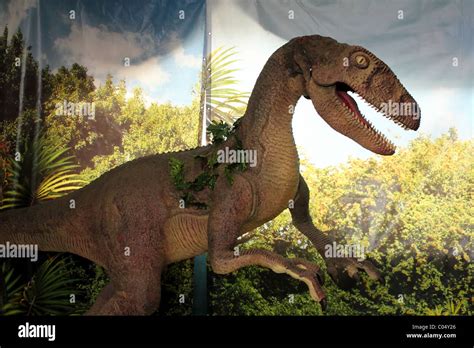 Dinosaur - raptor Stock Photo - Alamy