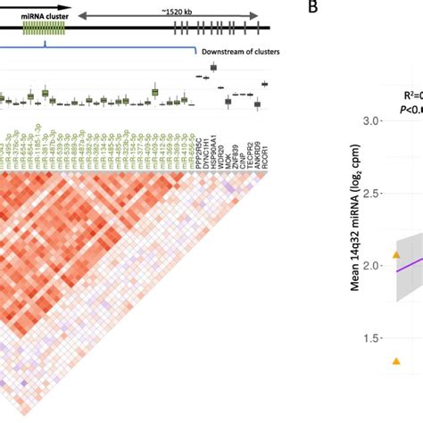 Co Expression Of 14q32 Locus MiRNAs And MRNAs In CLL A Correlation Of