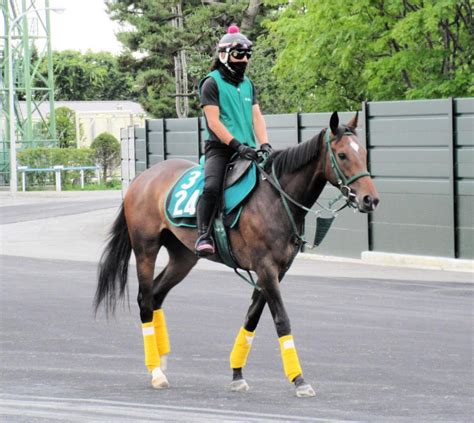 【pog】ジェモロジー 水準以上の動きみせる 瞬発力＆ゲートの速さ特筆 競馬・レースデイリースポーツ Online