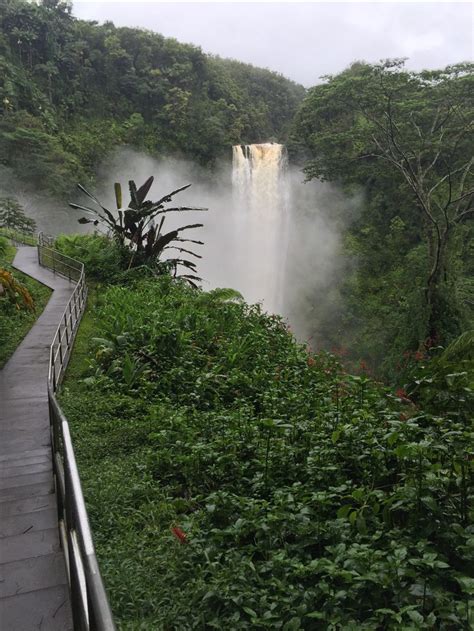 Akaka Falls | Outdoor, Tours, Water