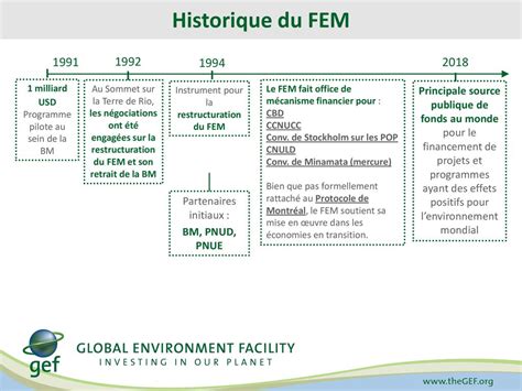 Quest Ce Que Le Fem Historique Structure Financement Ppt T L Charger