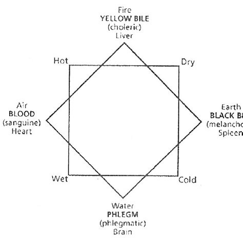 Galen S Tripartite Scheme Explaining How The Blood Circulated Through