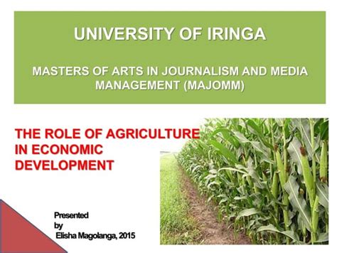 The Role Of Agriculture In Economic Development In Tanzania PPT