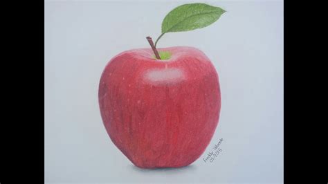 drawing  apple  colored pencils time lapse youtube