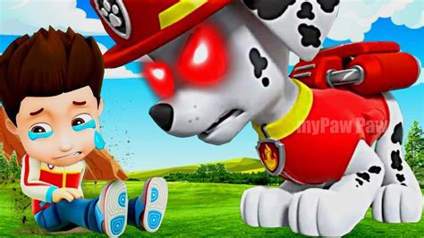 Paw Patrol The Mighty Movie Chase Becomes F Racer What S Going On