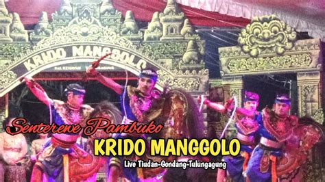 Senterewe Pambuko KRIDO MANGGOLO Live Tiudan Gondang Tulungagung