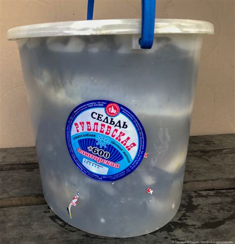 Рыба слабосоленая