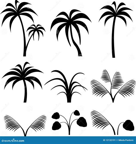 Tropical Silhouette Stock Vector Illustration Of Palm 12132191