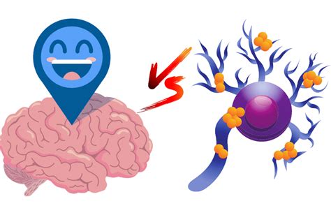 Dopamine vs Serotonin - Unraveling the Battle of the Brain Chemicals