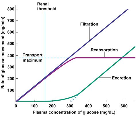 Renal threshold for glucose definition and controls