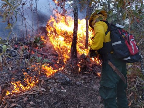 QUICHÉ Y ZACAPA DEPARTAMENTOS MÁS AFECTADOS POR INCENDIOS FORESTALES