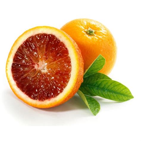 L ORANGE SANGUINE