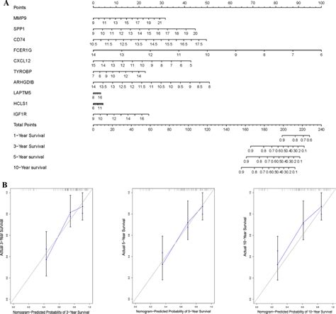 Construction Of The Nomogram Model Based On Gene Signature A