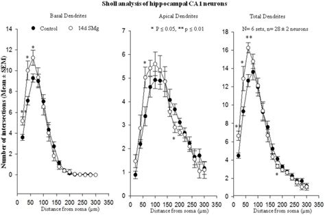 Sholl Analysis Enabled Us In Evaluating Basal Apical Total