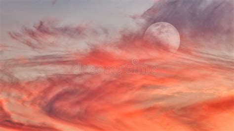 227 High Resolution Full Moon Stock Photos Free Royalty Free Stock