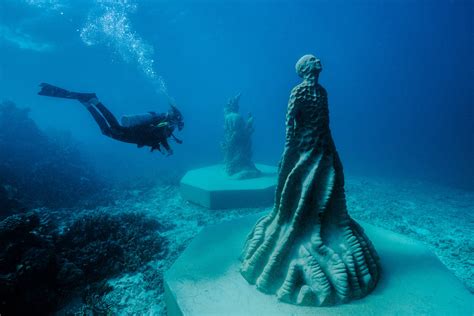 Ocean Sentinels John Brewer Reef Townsville Moua Museum Of