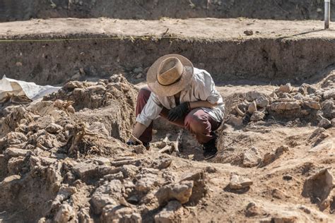 What Archaeology Is And How To Become An Archaeologist