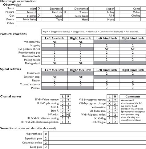 What Is Your Neurologic Diagnosis In Journal Of The American