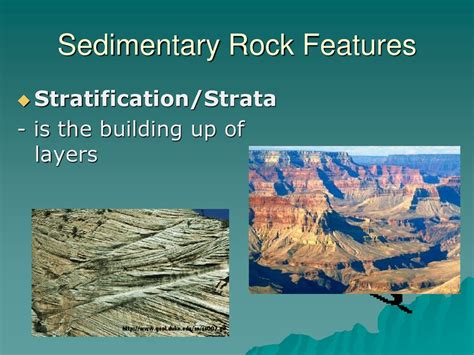 Sedimentary Rocks Ppt Download