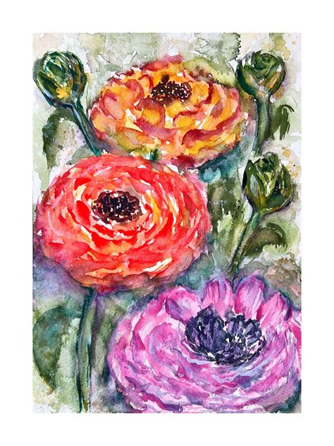 Ranunculus Watercolor Original Ranunculus Painting Colorful Flowers