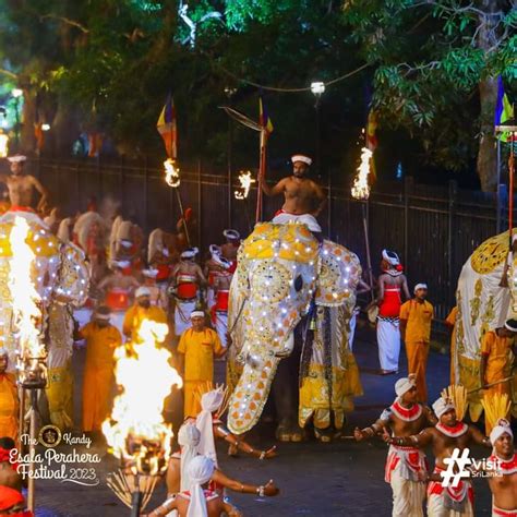 Kandy Esala Perahera 2024 The Oldest Cultural Event In The World